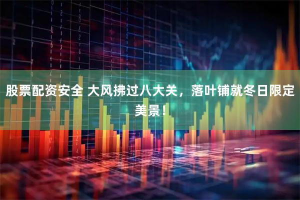 股票配资安全 大风拂过八大关，落叶铺就冬日限定美景！